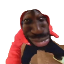 NovaSMP