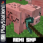 Elytra Zone