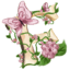 Faeries SMP