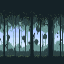 LifeJungle