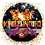 KINZUNITED