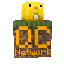 QuackCraft SMP