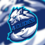 4Dudes_lifesteal_smp