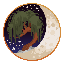 Moss & Moon