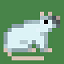 Rat Anarchy