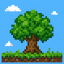 Rootbound