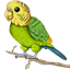 BudgieNet