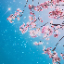 CreativeBlossoms