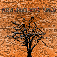 DeadRoot SMP 1.21.11