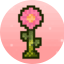 MineBloom
